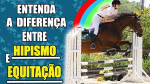 QUAL A DIFERENÇA ENTRE HIPISMO E EQUITAÇÃO?! - semana do galope