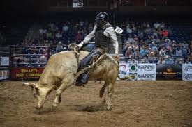 United Bull Riders Rodeo | The Examiner | rodeo,United Bull Riders,UBF,Ford Arena