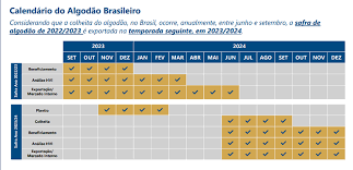 Algodão safra 22/23 está praticamente colhido e análise do material está em ritmo acelerado - ABRAPA