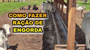 COMO FAZER RAÇÃO PARA ENGORDAR BOI , 18%