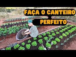 Como Plantar Alface em Canteiro: Guia Prático e Eficaz