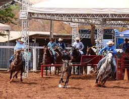 Com mais de R$ 90 mil em prêmios, competição de Team Roping será realizada em Rio Branco | ac | ge