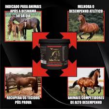 Medicamento Para Cavalo De Corrida, Tonnus Competição 01kg