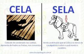Cela ou sela?