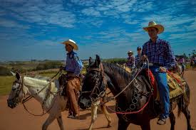 Cavalgadas: Saiba tudo sobre cavalgadas no Brasil [2020]