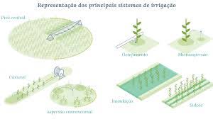 4 Tipos de Irrigação: Guia Completo para sua Lavoura