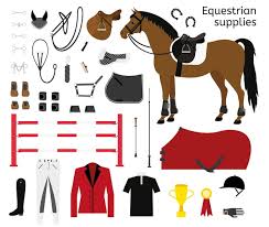 Equipamentos para Cavalos: Como Escolher e Manter com Segurança