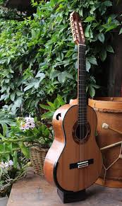 VIOLA 12 CORDAS – Dominus Luthier