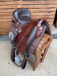 Sela Mangalarga Top 15 Luxo De Pista Cavalgada Profissional