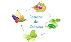 Rotação de Culturas: Guia Completo de como fazer na sua lavoura
