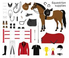 Acessórios para Cavalos: Guia Completo para Cavaleiros