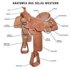 Nomes de Acessórios para Cavalos: Guia Completo