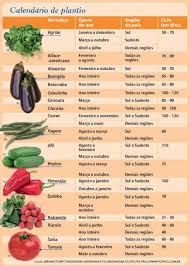 Tabela Plantio: Guia Hortaliças e Legumes