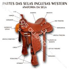 Rancho DOS Amigos - Cavalos Quarto de Milha Qual é a função de uma sela para cavalo? Sela para Cavalo, modelo mais simples de selas A sela para cavalos quarto de milha