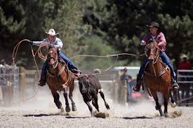 Team Roping.jpg