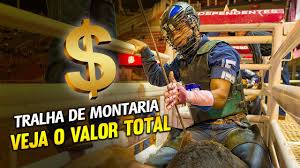 QUANTO CUSTA OS EQUIPAMENTOS DE MONTARIA EM TOURO?