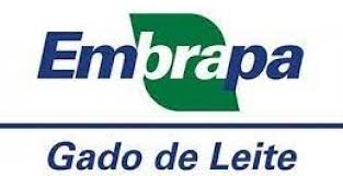 Leite: Preços em queda no mercado interno com maior oferta e importação | Brasilagro