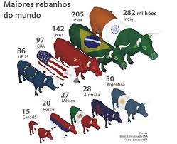 Se fosse um país, Mato Grosso teria o 7º maior rebanho do mundo - Acrimat