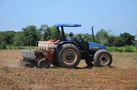 TO:Produtores iniciam plantio de sorgo para garantir melhoria do solo com a rotação de culturas - Página Rural