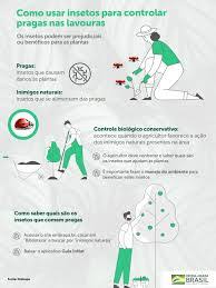 Controle Biológico Conservativo: Guia para Lavoura
